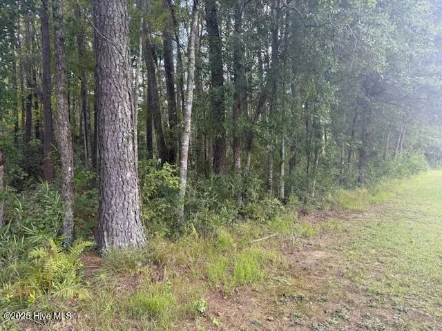 $219,000 | 0 Near 2625 Chauncey Town Rd Lake, Lake Waccamaw, NC 28450