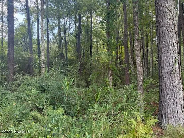 $219,000 | 0 Near 2625 Chauncey Town Rd Lake, Lake Waccamaw, NC 28450