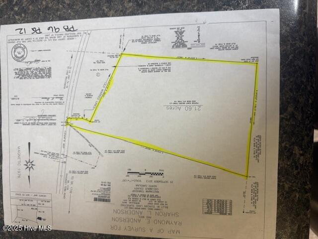 2539 Chauncey Town Road Lake Waccamaw, NC 28450 - Photo 7 of 8 IMG_3657