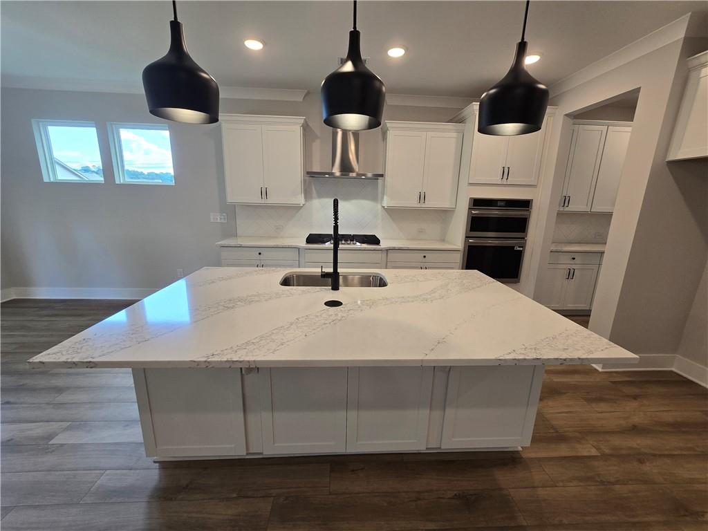 508 Pine Bough Road Ball Ground, GA 30107 - Photo 11 of 47 a kitchen with kitchen island a stove a sink and a wooden floor