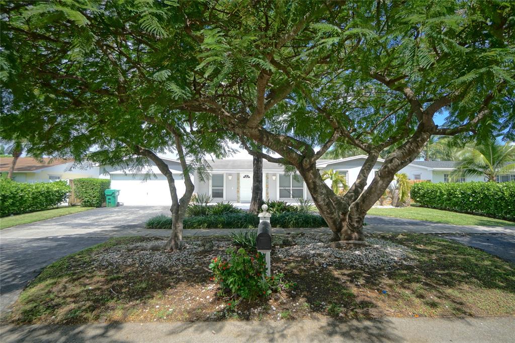 8101 Southwest 198th Street Cutler Bay, FL 33189 - Photo 3 of 16 a view of a tree in the middle of a yard