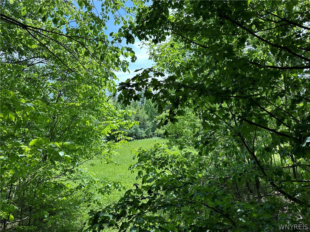 5867 Transit Road Lancaster, NY 14043 - Photo 3 of 6