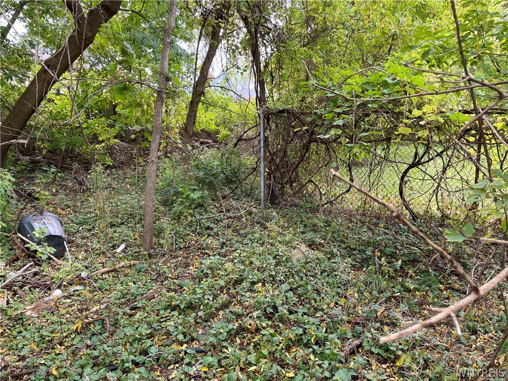 5867 Transit Road Lancaster, NY 14043 - Photo 4 of 6