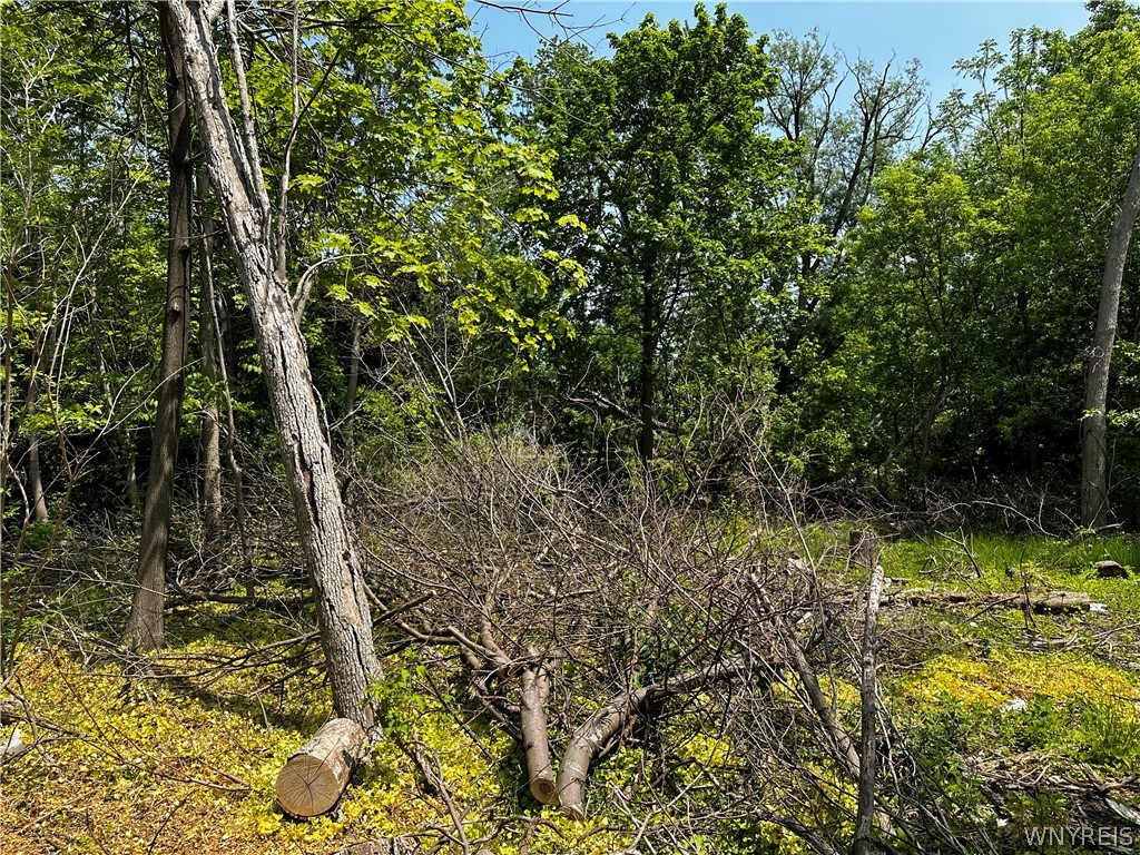 5867 Transit Road Lancaster, NY 14043 - Photo 5 of 6