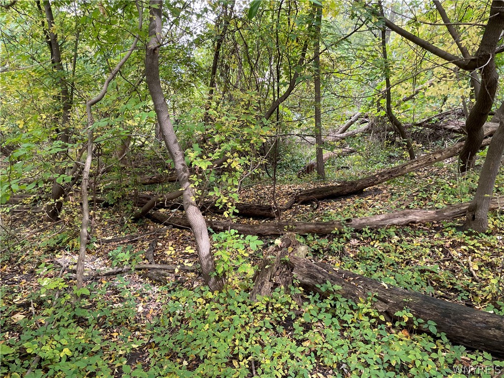 5867 Transit Road Lancaster, NY 14043 - Photo 6 of 6