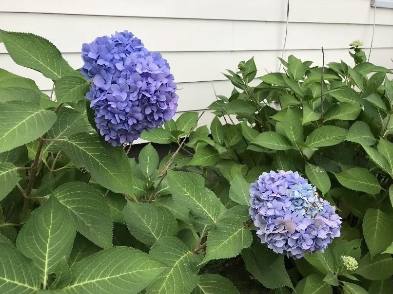 33 Joffre Street Concord, NH 03301 - Photo 20 of 28