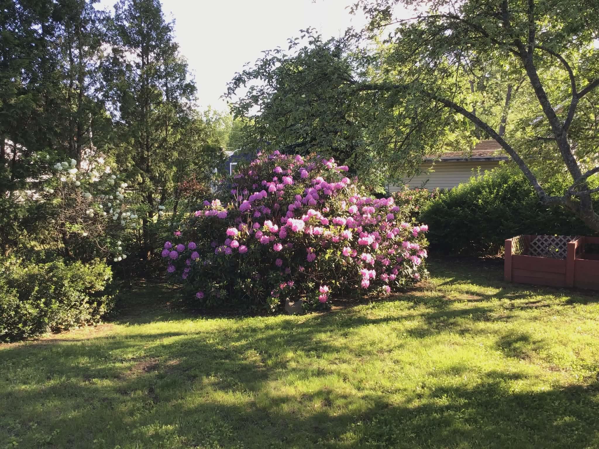 33 Joffre Street Concord, NH 03301 - Photo 21 of 28