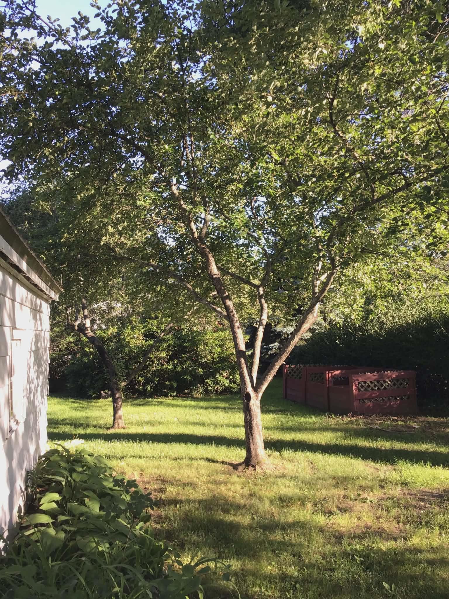 33 Joffre Street Concord, NH 03301 - Photo 24 of 28