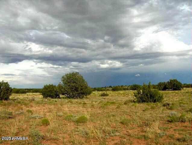 6322 Dry Pasture Road, Unit 298 Heber, AZ 85928 - Photo 2 of 3