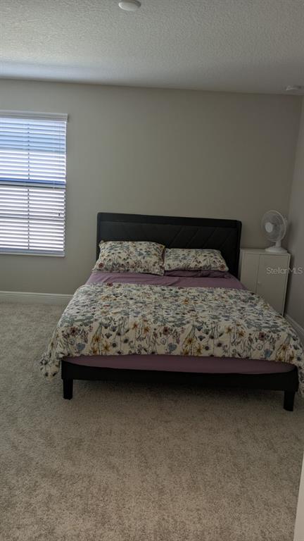 14698 Horse Trot Road Lithia, FL 33547 - Photo 8 of 13 a bedroom with a bed and window