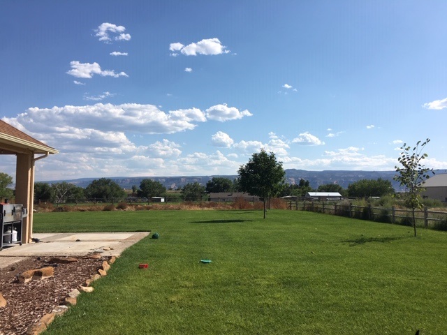 1855 Golden Ranch Road Fruita, CO 81521 - Photo 6 of 24