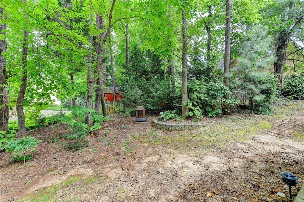 1595 Chadberry Way Lawrenceville, GA 30043 - Photo 24 of 47 a view of a yard with plants and trees