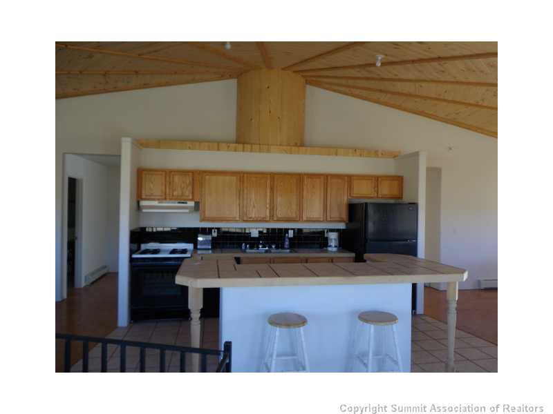 1031 Center Road Fairplay, CO 80440 - Photo 3 of 14 Other.