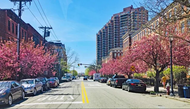 a view of street with parked cars