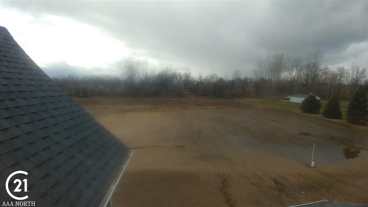 69421 Dequindre Road Leonard, MI 48367 - Photo 7 of 21 Property ends at tree line