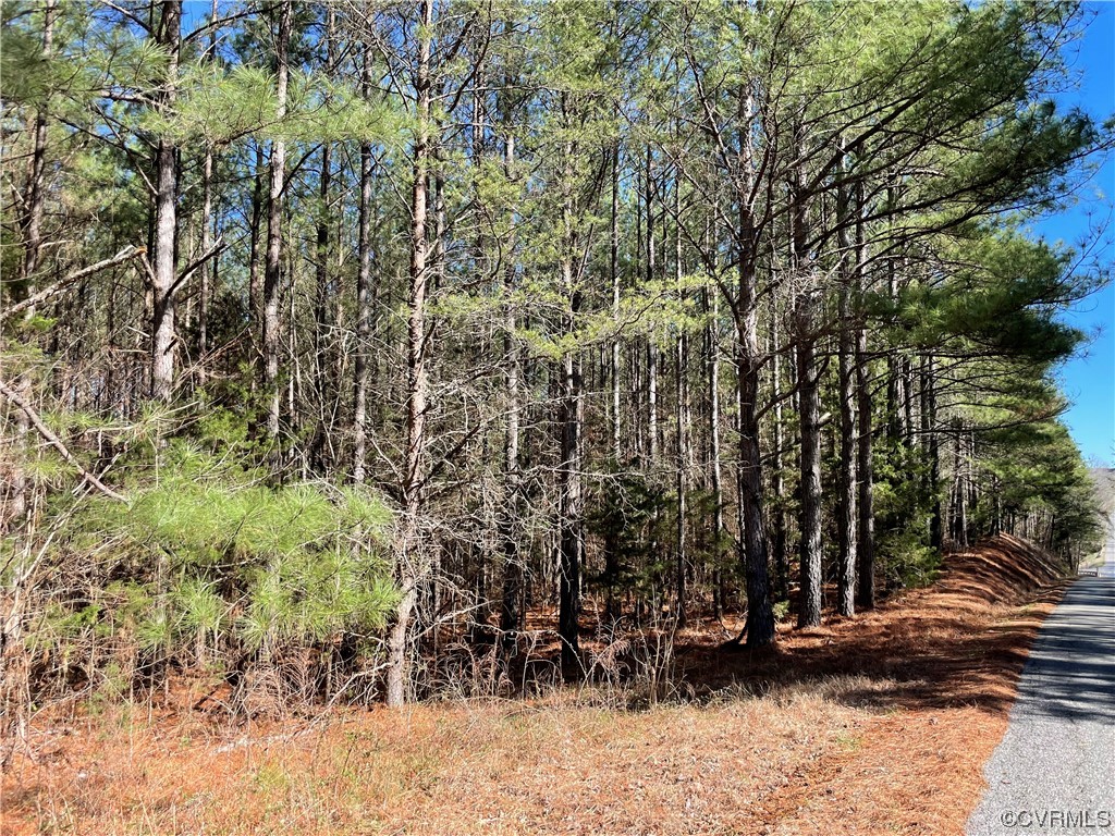 0 Double Bridges Road Keysville, VA 23947 - Photo 3 of 11 a view of yard