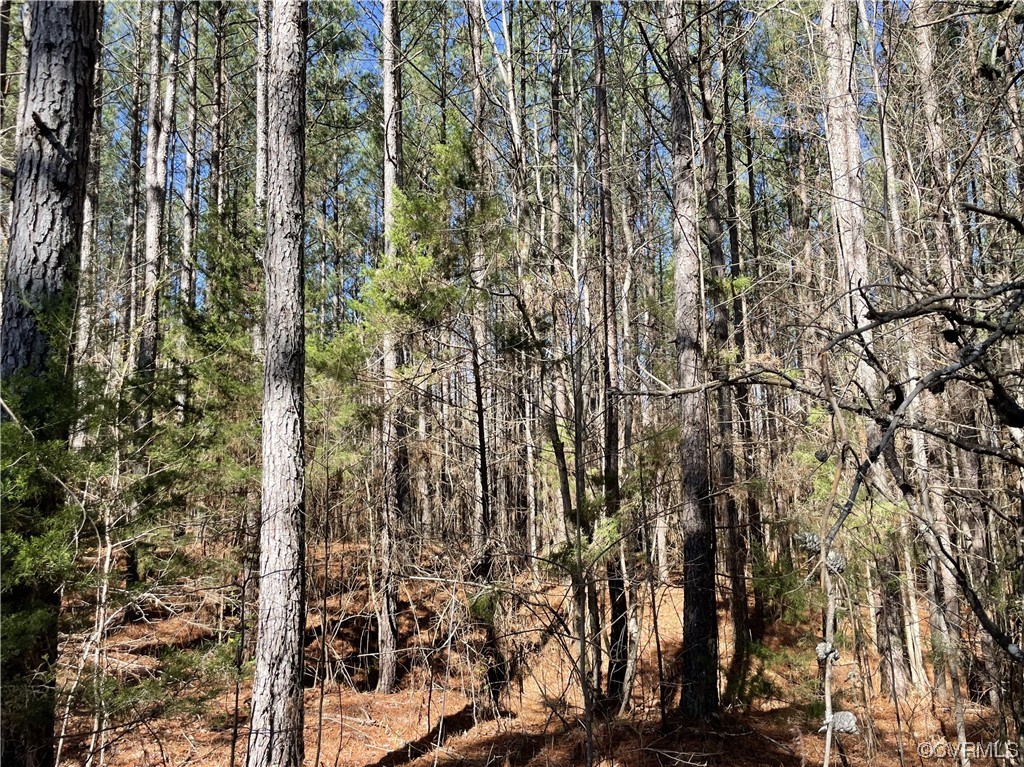 0 Double Bridges Road Keysville, VA 23947 - Photo 4 of 11 a view of residential houses with yard and wooden fence