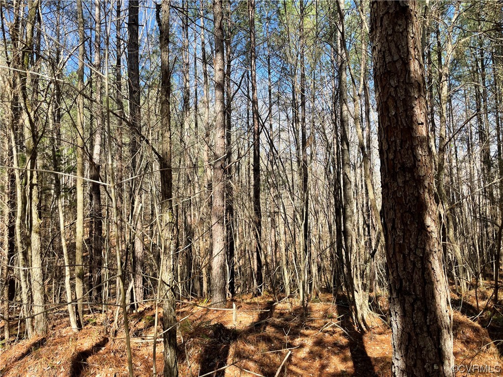 0 Double Bridges Road Keysville, VA 23947 - Photo 5 of 11 a view of house with yard