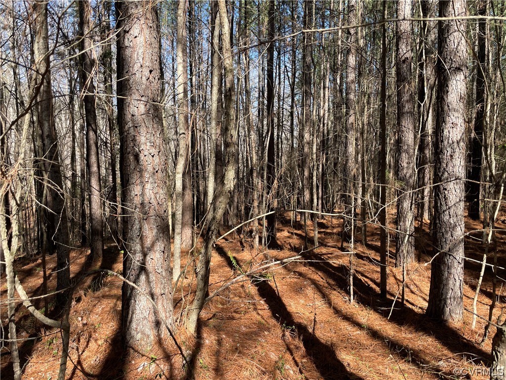 0 Double Bridges Road Keysville, VA 23947 - Photo 6 of 11 a view of outdoor space with lots of trees