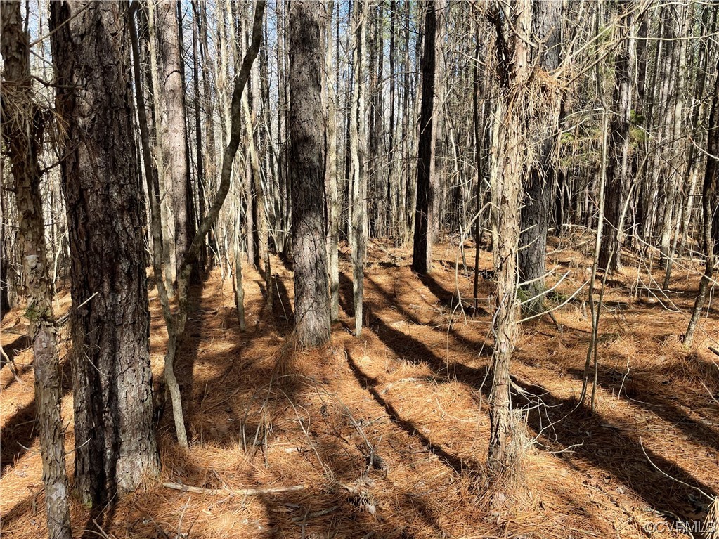 0 Double Bridges Road Keysville, VA 23947 - Photo 7 of 11 a view of outdoor space with a yard