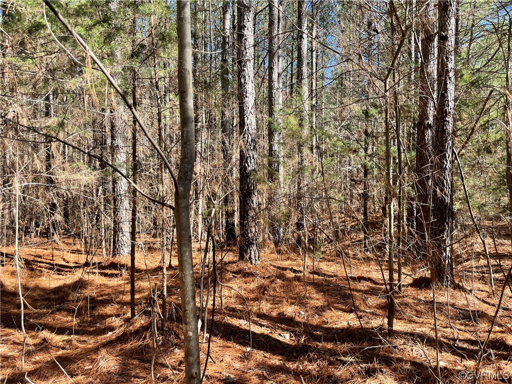 0 Double Bridges Road Keysville, VA 23947 - Photo 8 of 11 a view of covered with green space