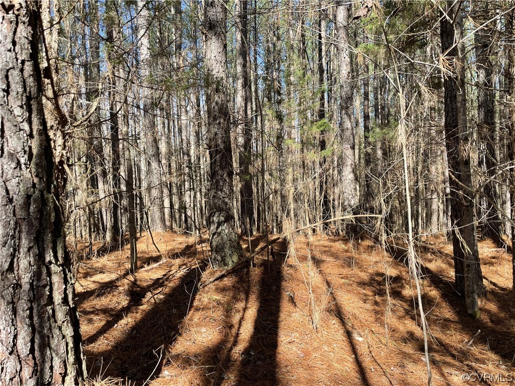 0 Double Bridges Road Keysville, VA 23947 - Photo 10 of 11 a view of outdoor space with deck and trees