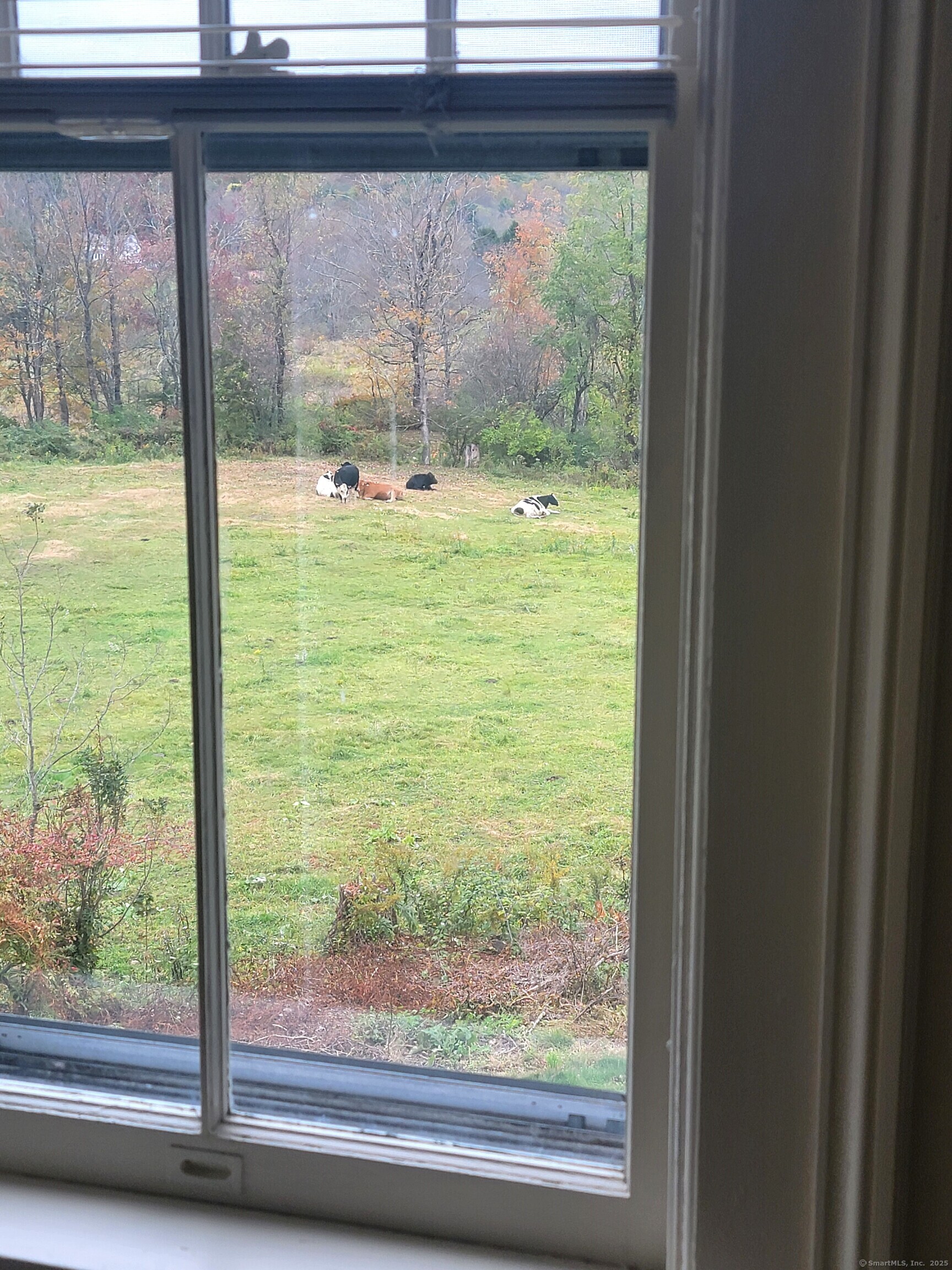 270 Cherry Brook Road, Unit 3 Canton, CT 06019 - Photo 16 of 18 a view of a room with a large window