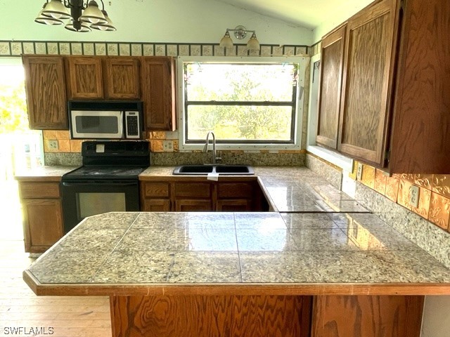 6670 Sun Rise Lane Bokeelia, FL 33922 - Photo 13 of 13 a kitchen with a stove a sink and a microwave