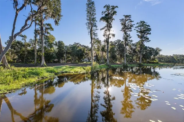 a view of a lake with a yard and mountain