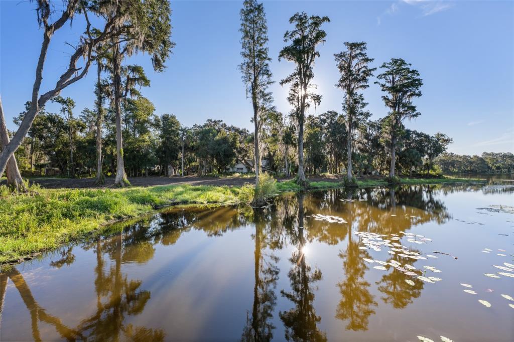 16619 Indian Mound Road Tampa, FL 33618 - Photo 13 of 26 a view of a lake with a yard and mountain