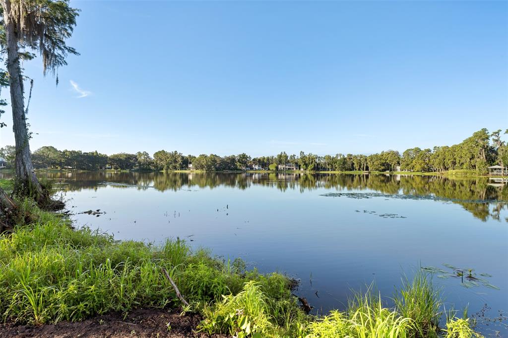 16619 Indian Mound Road Tampa, FL 33618 - Photo 15 of 26 a view of lake and mountain