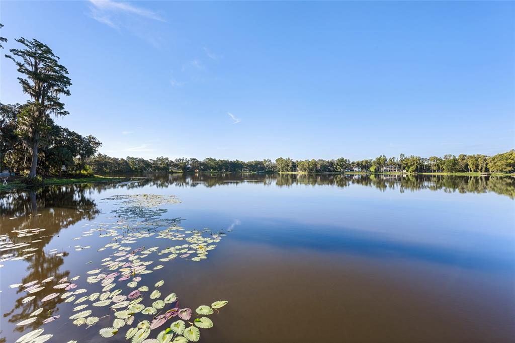 16619 Indian Mound Road Tampa, FL 33618 - Photo 16 of 26 a view of lake