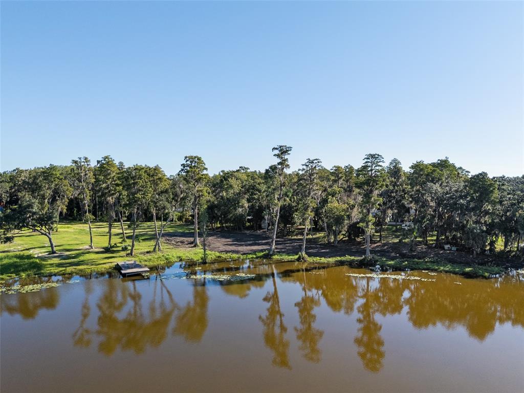 16619 Indian Mound Road Tampa, FL 33618 - Photo 4 of 26 a view of a swimming pool with a yard and plants