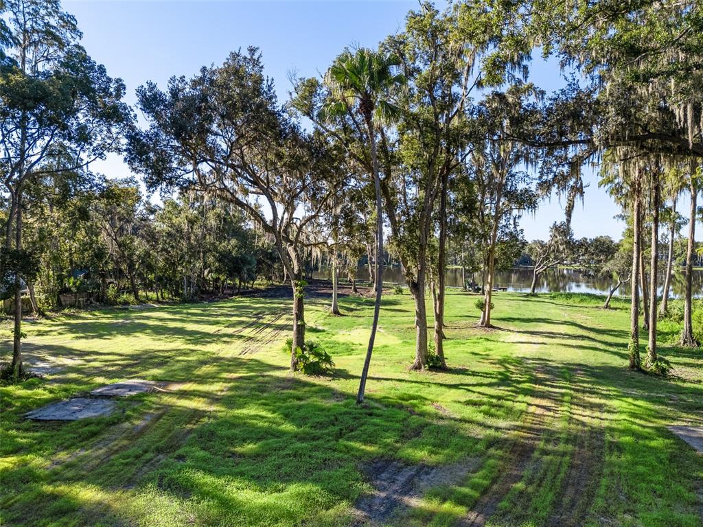 16619 Indian Mound Road Tampa, FL 33618 - Photo 7 of 26 a view of a trees with a park