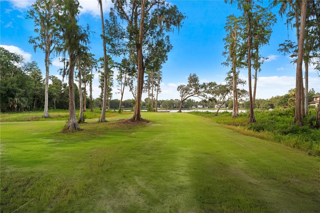 16619 Indian Mound Road Tampa, FL 33618 - Photo 9 of 26 a view of a tree in a park