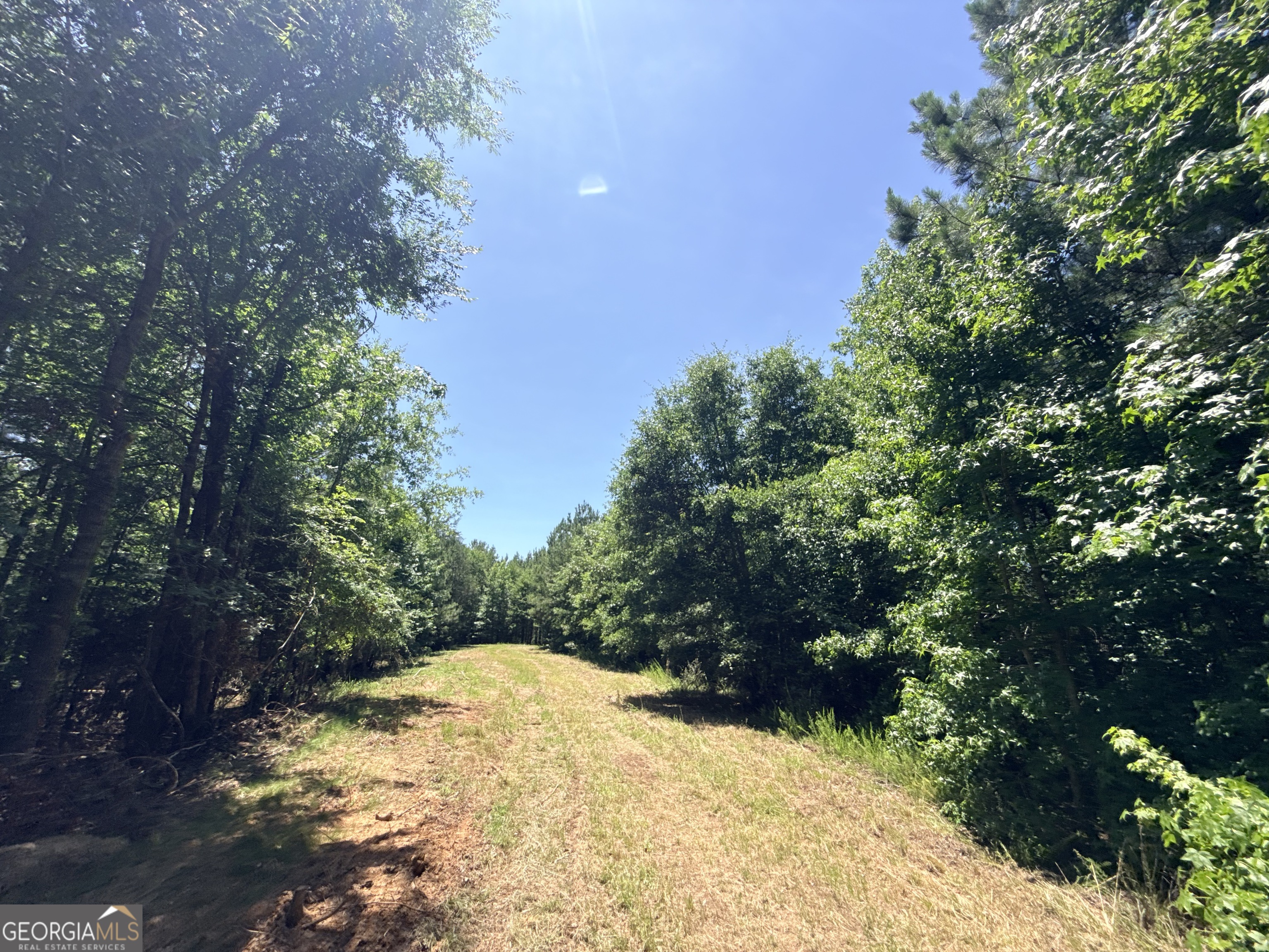 2807 Cedar Creek Road Elberton, GA 30635 - Photo 58 of 109