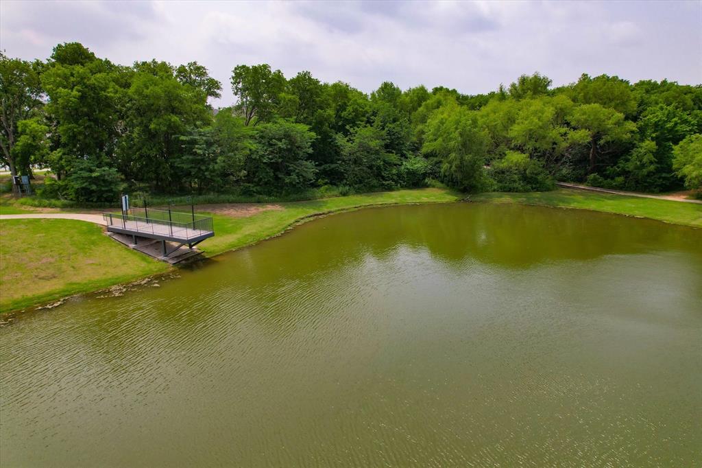 861 Countryside Way Little Elm, TX 76227 - Photo 28 of 34