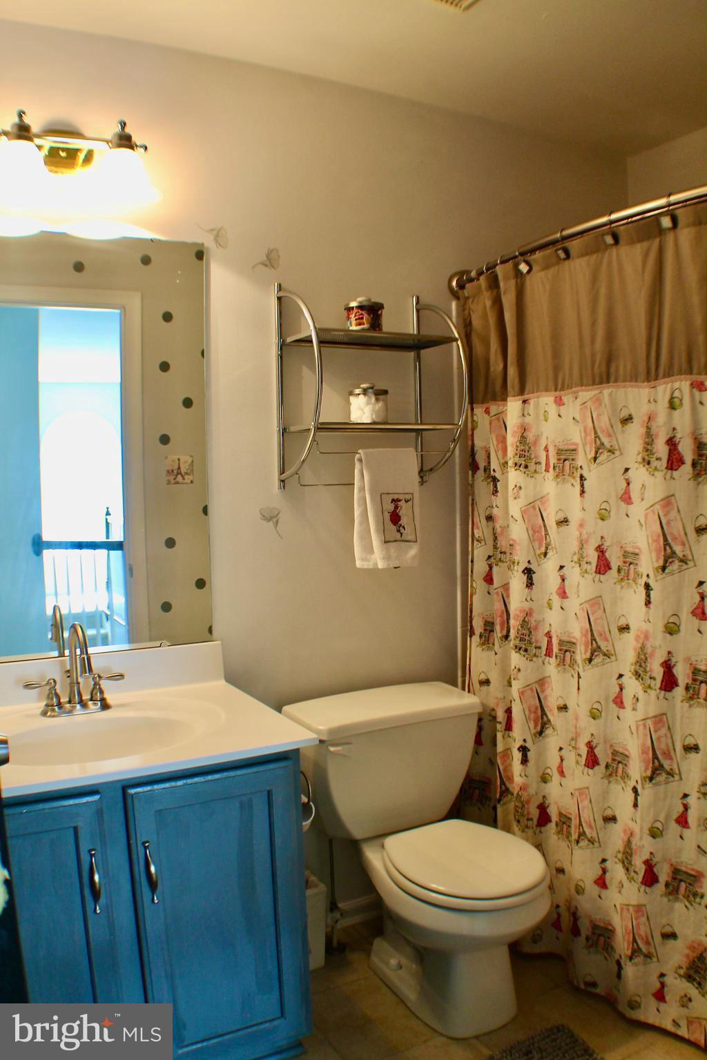 216 Barnhill Road Perkasie, PA 18944 - Photo 36 of 48 Hall Bathroom