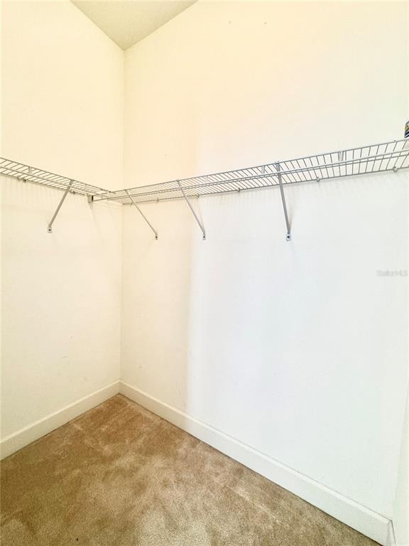 5525 Thorngrove Way Spring Hill, FL 34609 - Photo 36 of 77