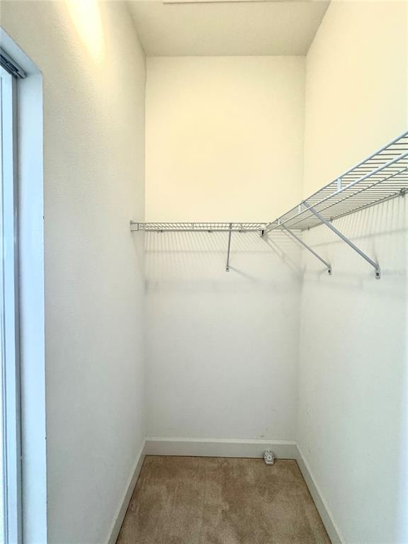 5525 Thorngrove Way Spring Hill, FL 34609 - Photo 45 of 77