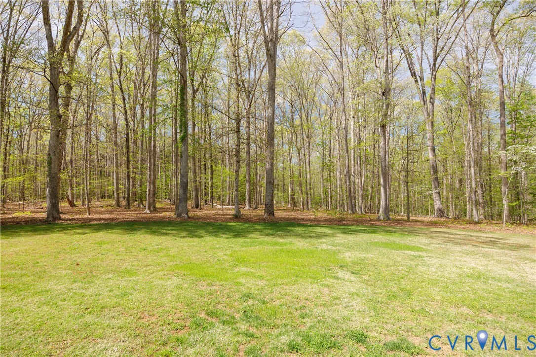 3143 Maidens Road Powhatan, VA 23139 - Photo 45 of 46