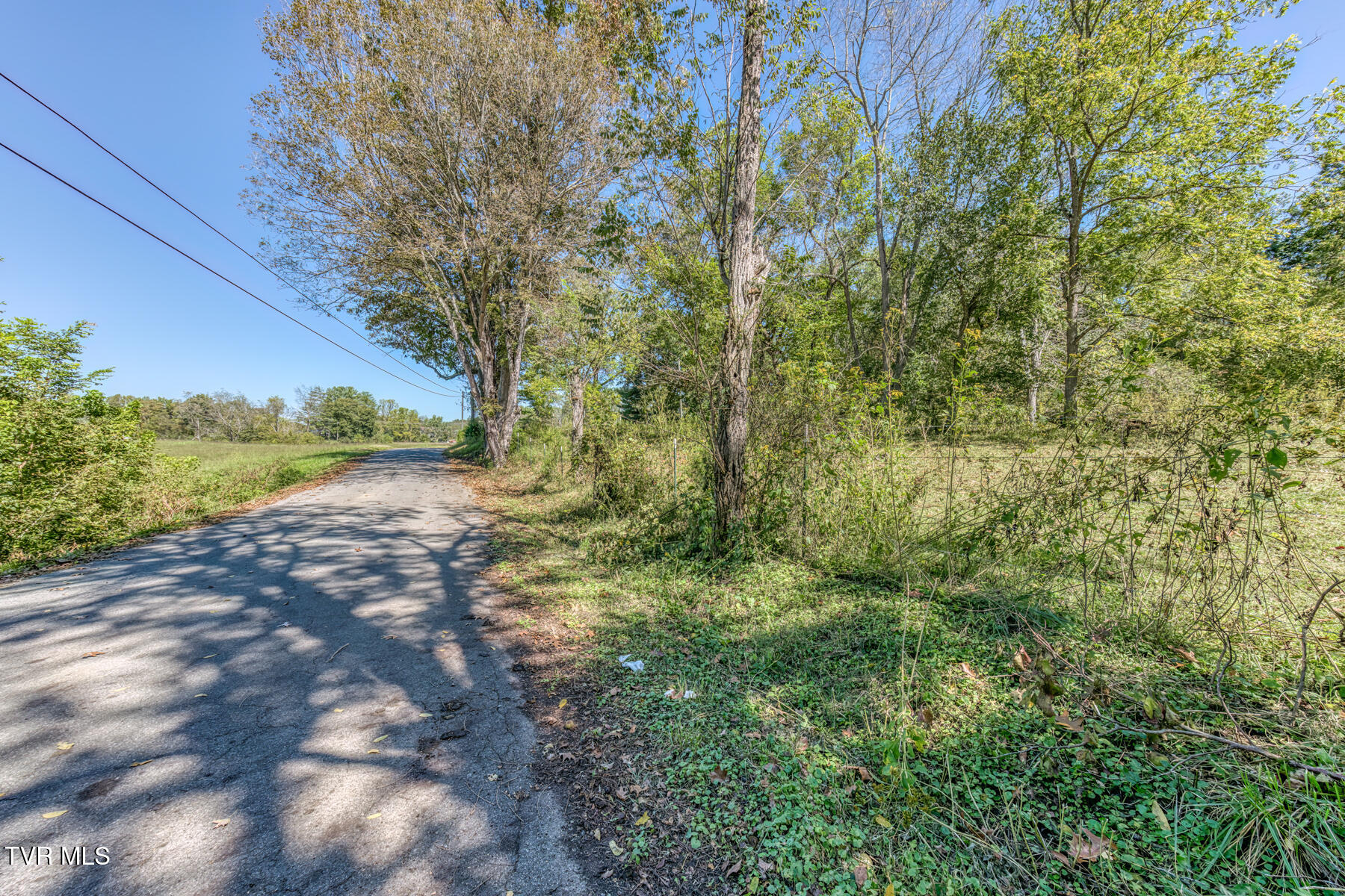 Tbd Yoakley Road, Unit 1 Blountville, TN 37617 - Photo 11 of 36 TBD2 Yoakley Rd-11