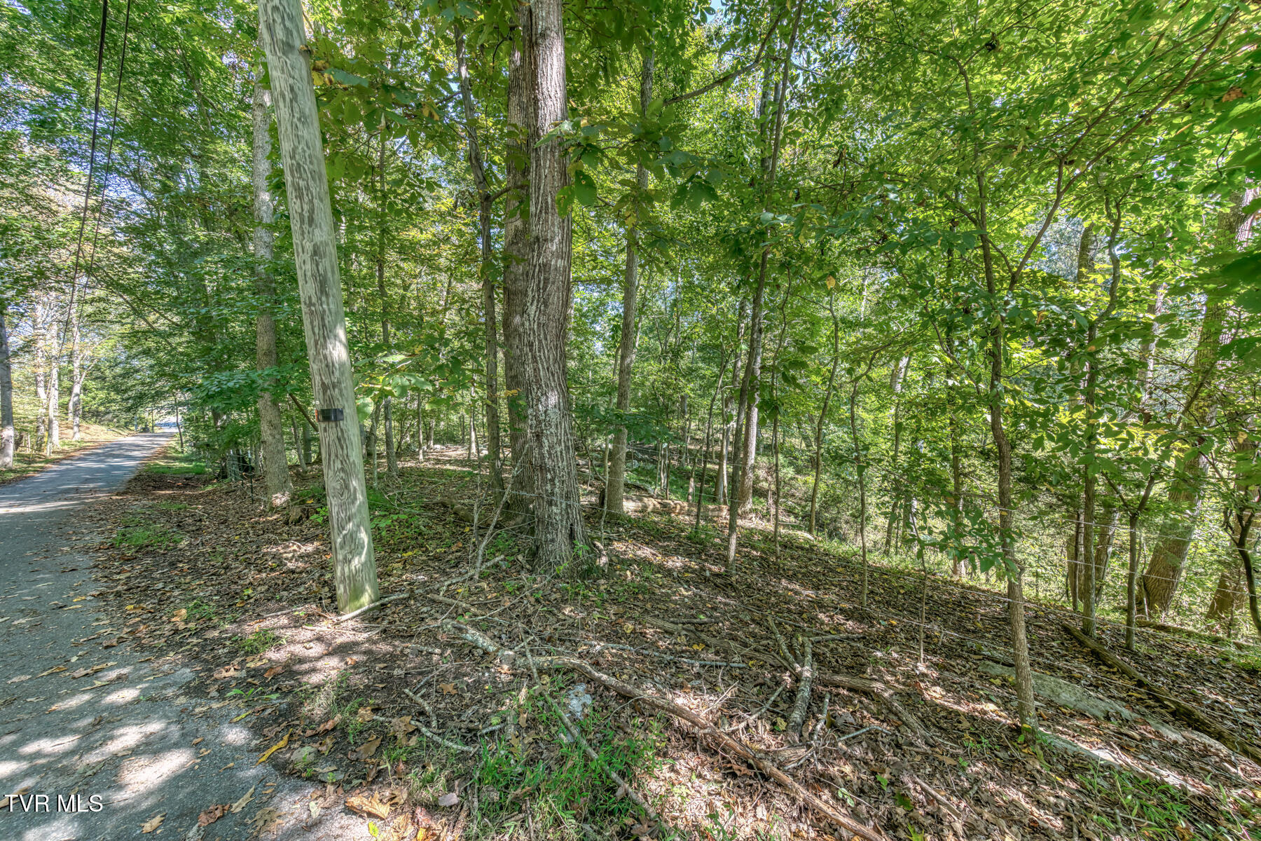 Tbd Yoakley Road, Unit 1 Blountville, TN 37617 - Photo 15 of 36 TBD2 Yoakley Rd-14 - Copy