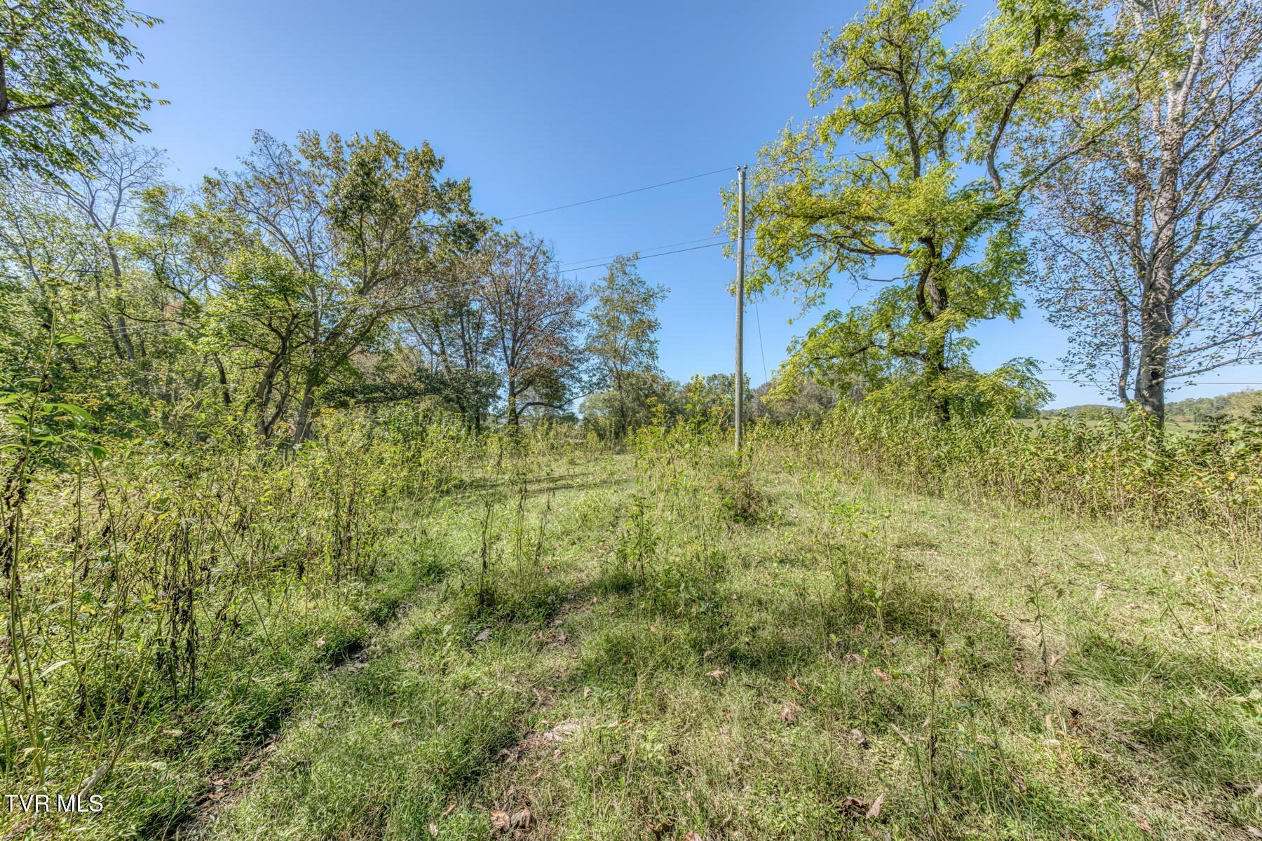 Tbd Yoakley Road, Unit 1 Blountville, TN 37617 - Photo 19 of 36 TBD2 Yoakley Rd-19