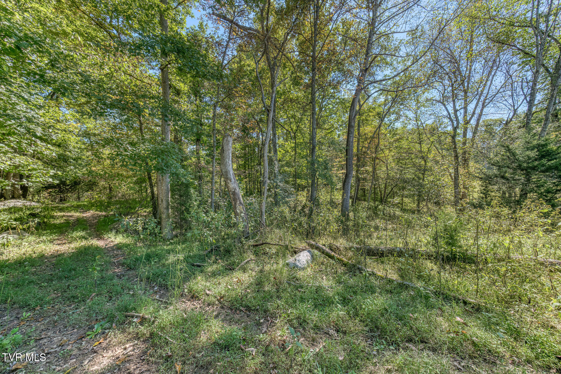 Tbd Yoakley Road, Unit 1 Blountville, TN 37617 - Photo 20 of 36 TBD2 Yoakley Rd-20