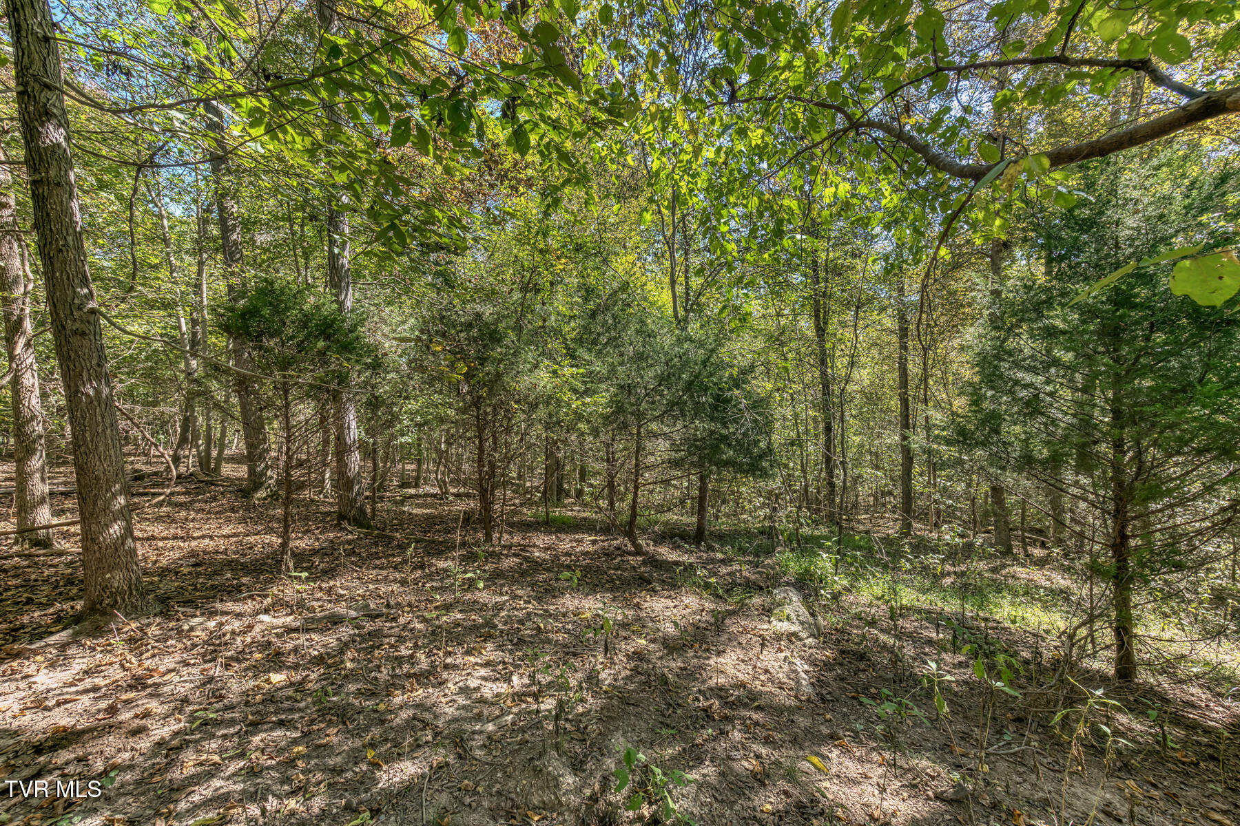 Tbd Yoakley Road, Unit 1 Blountville, TN 37617 - Photo 22 of 36 TBD2 Yoakley Rd-22