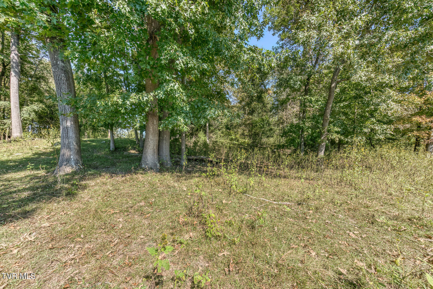 Tbd Yoakley Road, Unit 1 Blountville, TN 37617 - Photo 25 of 36 TBD2 Yoakley Rd-30