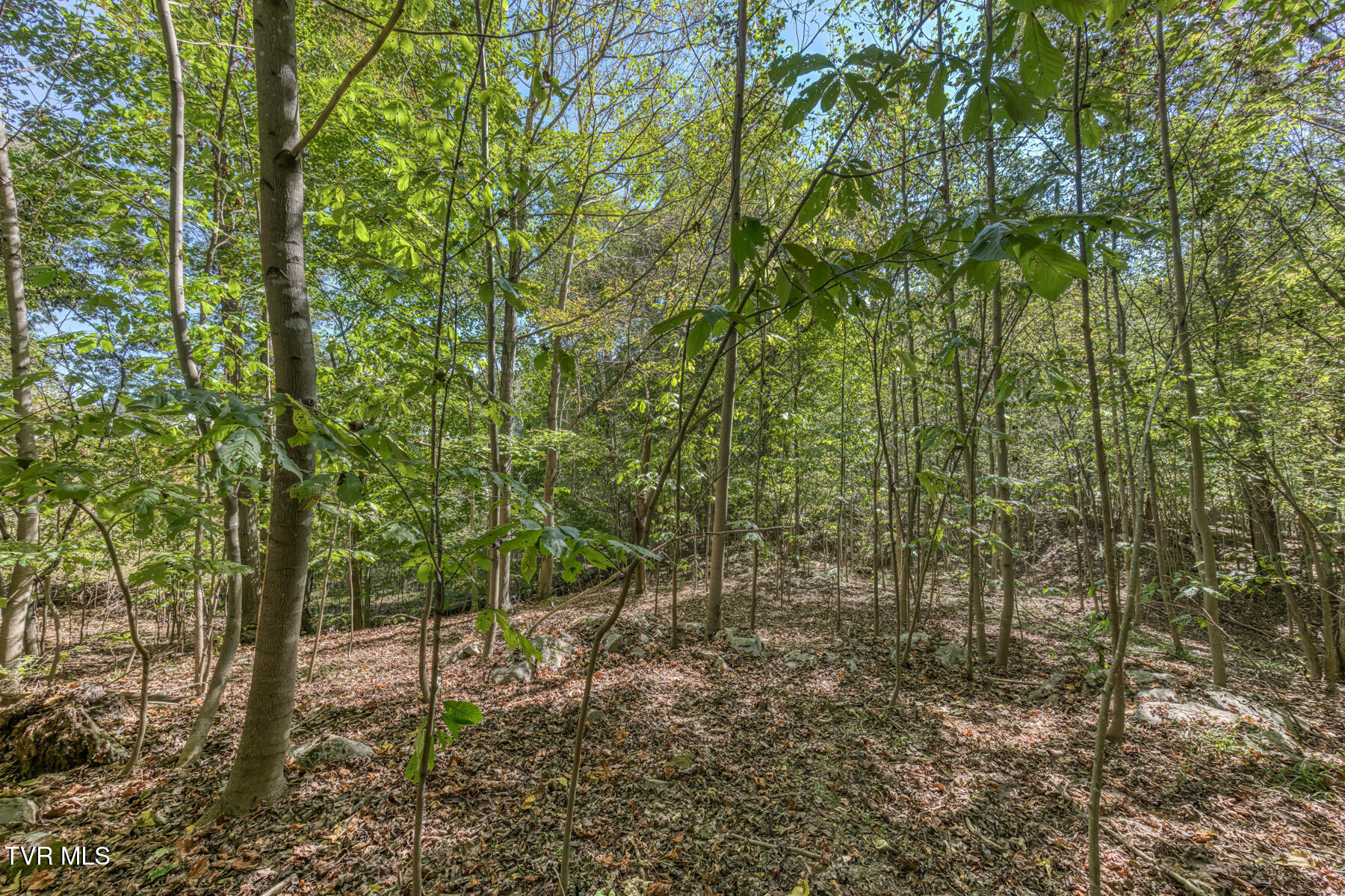 Tbd Yoakley Road, Unit 1 Blountville, TN 37617 - Photo 29 of 36 TBD2 Yoakley Rd-24