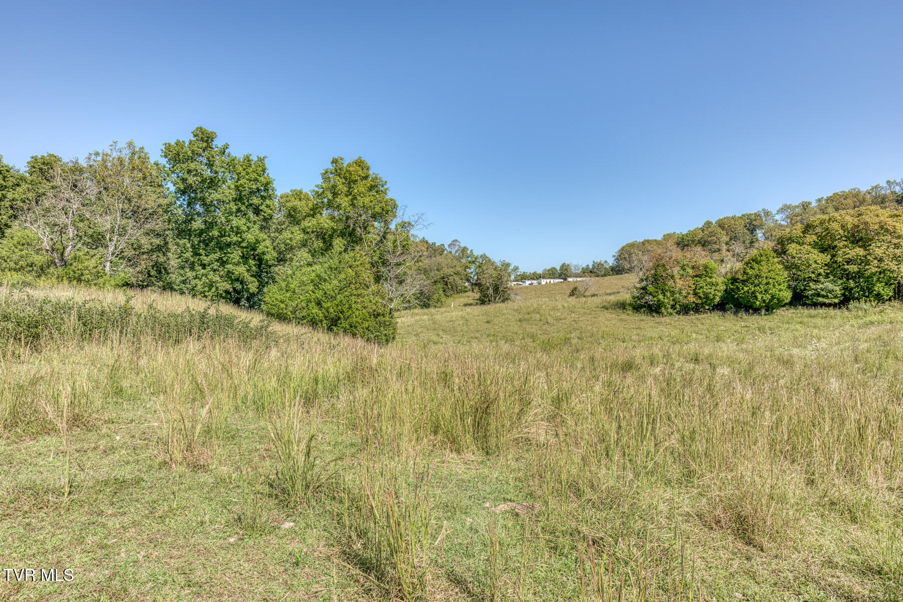 Tbd Yoakley Road, Unit 1 Blountville, TN 37617 - Photo 3 of 36 TBD2 Yoakley Rd-3 - Copy