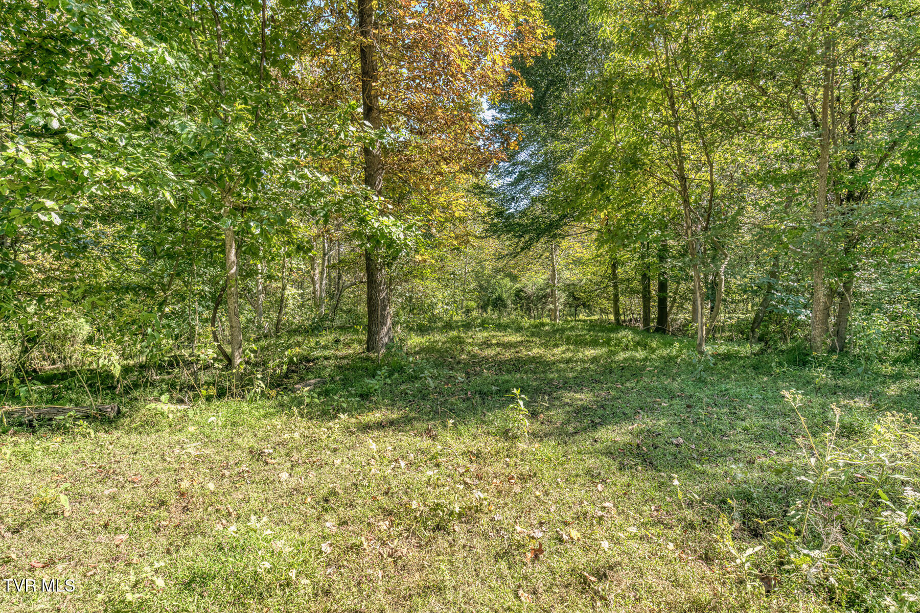 Tbd Yoakley Road, Unit 1 Blountville, TN 37617 - Photo 33 of 36 TBD2 Yoakley Rd-28